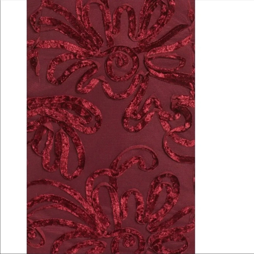 NEW $258 XSCAPE [SIZE 0 ] Flocked Velvet Mesh Gown‎ in Wine Red